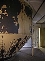 P1010100.jpg