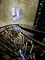 P1010127.JPG